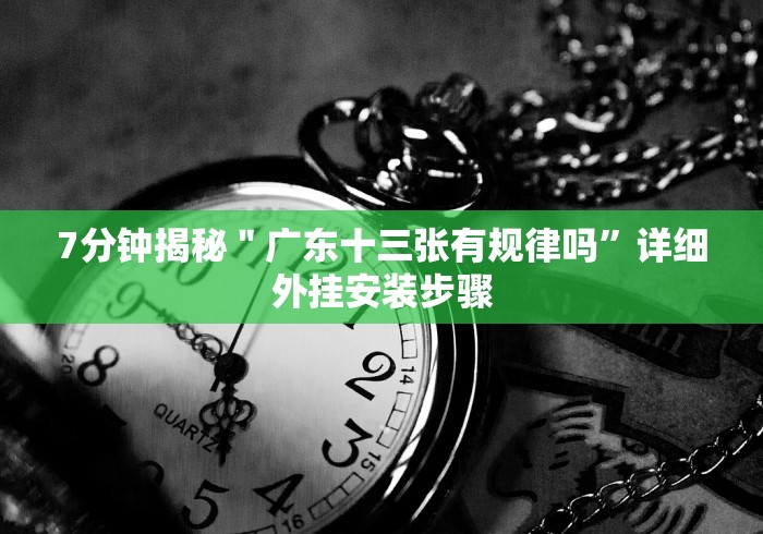 7分钟揭秘＂广东十三张有规律吗”详细外挂安装步骤