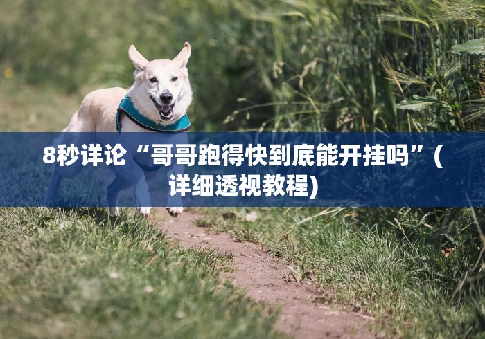 8秒详论“哥哥跑得快到底能开挂吗”(详细透视教程)