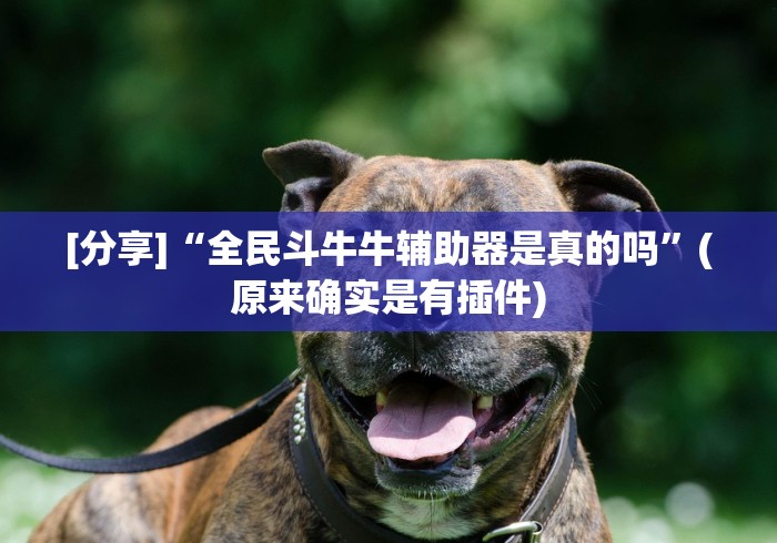 [分享]“全民斗牛牛辅助器是真的吗”(原来确实是有插件)